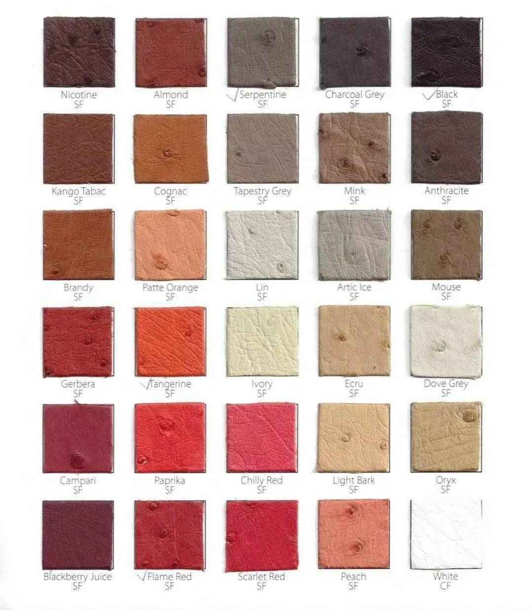 alt
Colorazione in pelle di pelle di struzzo