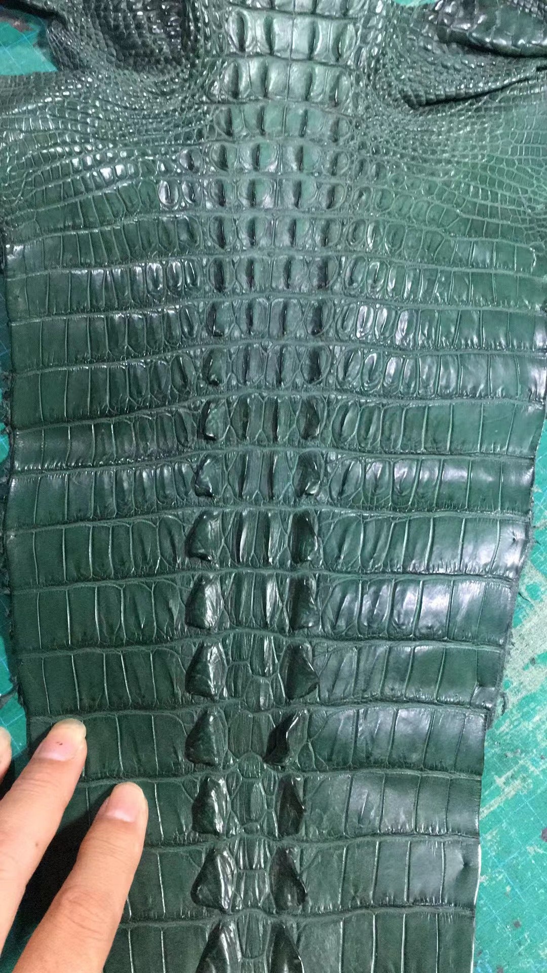 Preorder Men's Business Dark Green Crocodile Bone Leather Zip Clutch Long Wallet Purse Credit Card Holder Dark Green