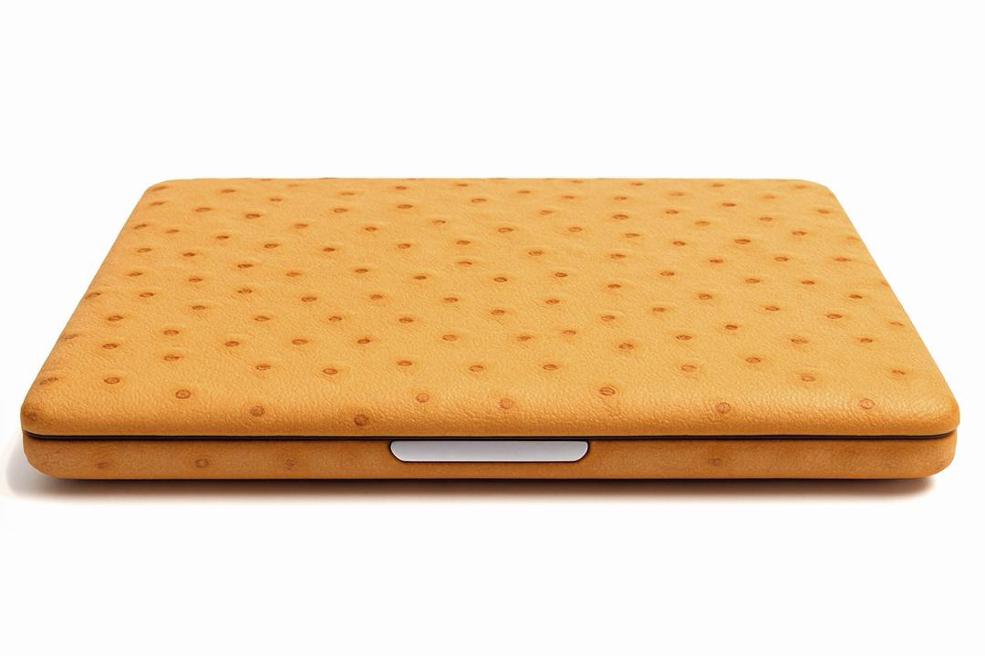 Custodia in pelle di struzzo per MacBook Pro 16" in preordine
