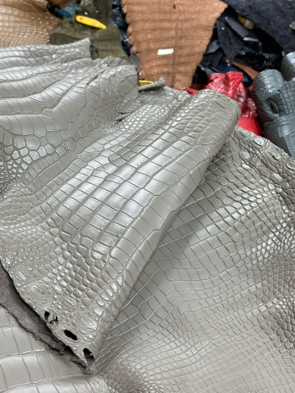 Preorder Crocodile Skin Belly Leather Sneakers