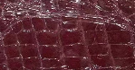 High Shiny Genuine Crocodile Skin Leather Zip Wallets