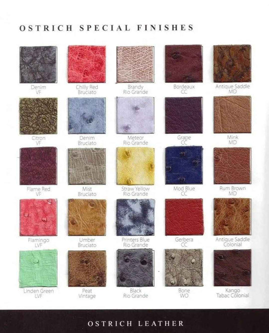 Colorazione in pelle di struzzo
