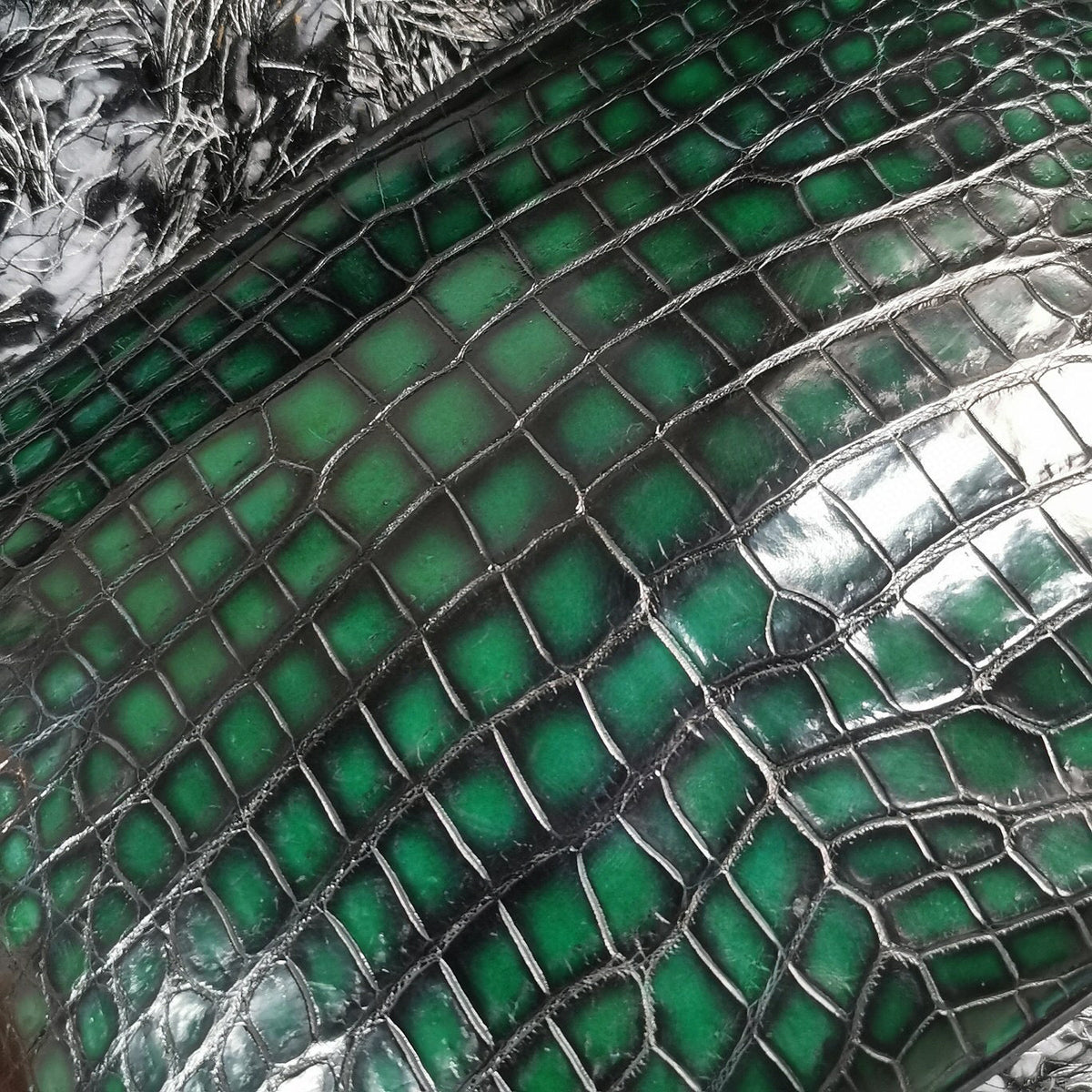 Mens vintage genuine crocodile skin leather clutch by Rossie Viren, featuring a sleek design and textured crocodile pattern.
