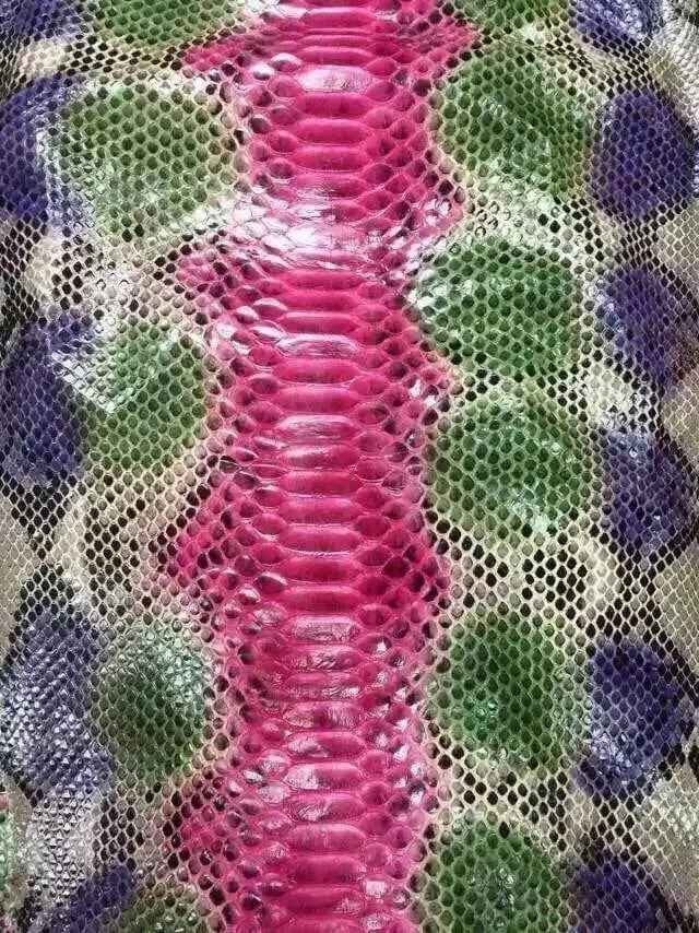Colorazione in pelle di pitone