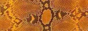 Skin Leather Colorway