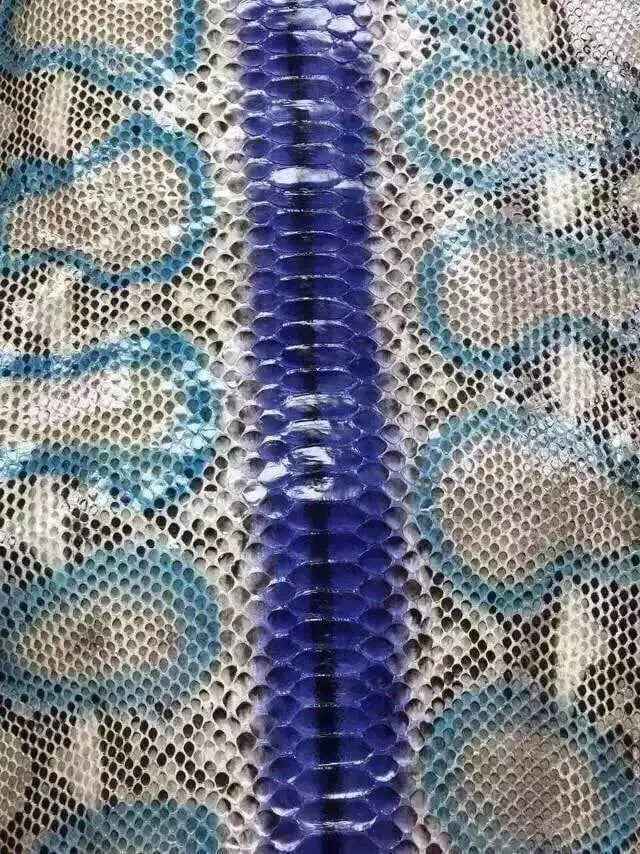 Variante colore in pelle di pitone